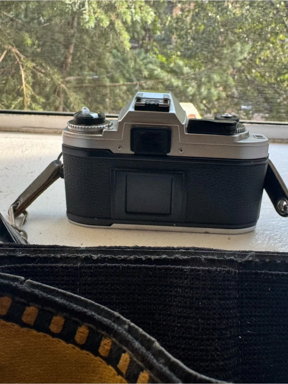 Nikon classic fg